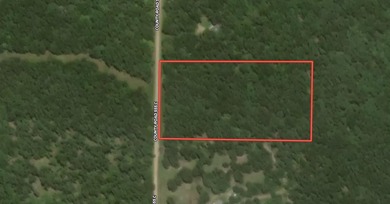Secluded 5-Acre Wooded Retreat in TecumsehDiscover a peaceful - photo 2