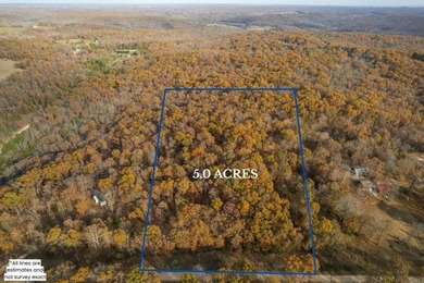 Secluded 5-Acre Wooded Retreat in TecumsehDiscover a peaceful - photo 4
