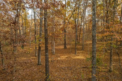 Secluded 5-Acre Wooded Retreat in TecumsehDiscover a peaceful - photo 6