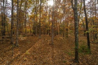 Secluded 5-Acre Wooded Retreat in TecumsehDiscover a peaceful - photo 7