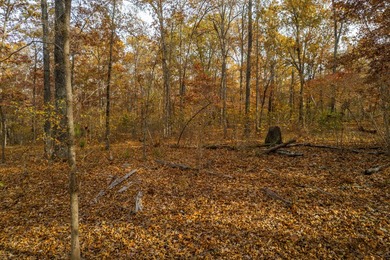 Secluded 5-Acre Wooded Retreat in TecumsehDiscover a peaceful - photo 8