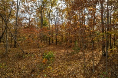 Secluded 5-Acre Wooded Retreat in TecumsehDiscover a peaceful - photo 9