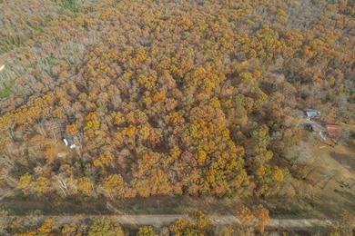 Secluded 5-Acre Wooded Retreat in TecumsehDiscover a peaceful - photo 10