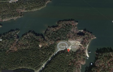 Lake Lot Off Market in Tignall, Georgia