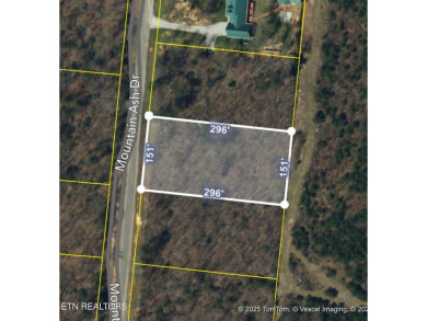 (private lake, pond, creek) Lot For Sale in Monterey Tennessee