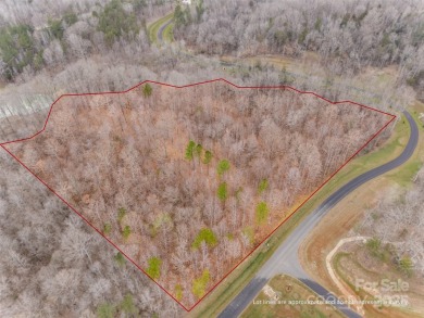 Lake Acreage For Sale in Denver, North Carolina