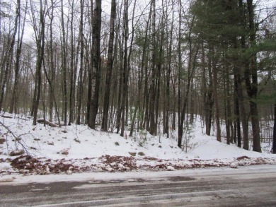 Lake Lot For Sale in Minocqua, Wisconsin