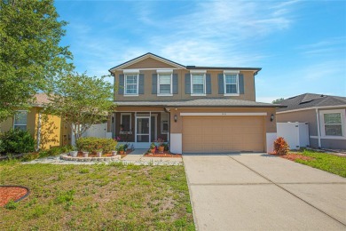 (private lake, pond, creek) Home For Sale in ST Cloud Florida