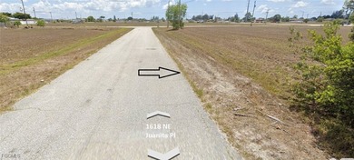 This vacant lot presents an ideal opportunity to build your - photo 3