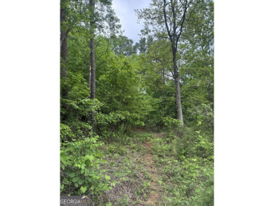 Lake Lot For Sale in Toccoa, Georgia