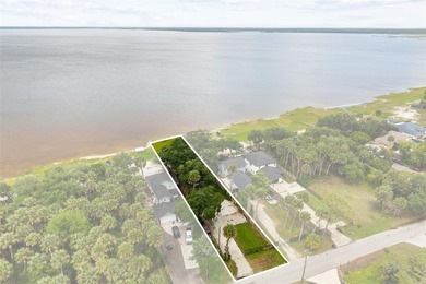 Nestled on a breathtaking .4-acre lot on beautiful Lake Harney - photo 3