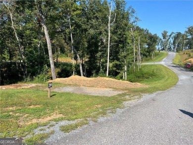 Coosawattee River - Gilmer County Lot For Sale in Ellijay Georgia