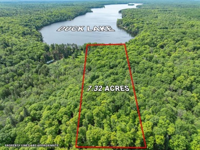 Lake Acreage For Sale in Land O Lakes, Michigan