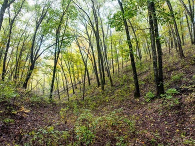 Introducing the Deer Creek Legacy Farm, a truly extraordinary 1 - photo 11