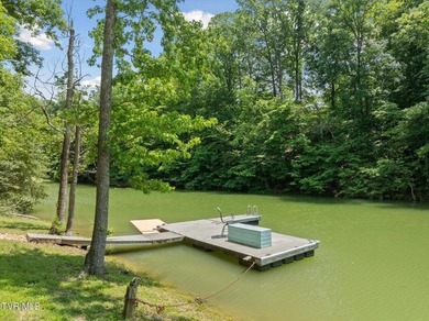 929 Black Alder Ln, Dandridge, TN - Koontz Creek Subdivision - photo 2