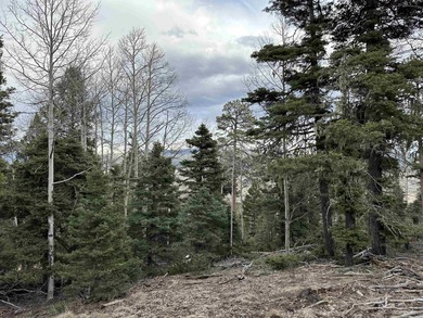 Additional listing photo 3