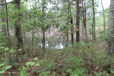 Neuse River Lot For Sale in Oriental North Carolina
