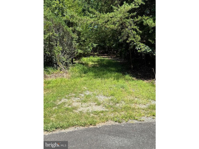 Beautiful lot in the desirable Edgewood Bay Subdivision. Recent - photo 1