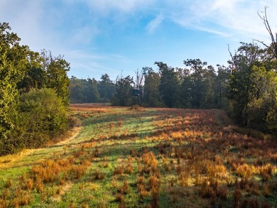 Introducing the Deer Creek Legacy Farm, a truly extraordinary 1 - photo 29