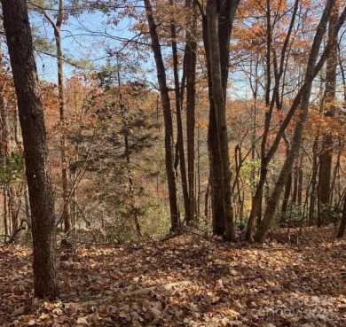 Gorgeous 0.30 Acre Wooded Lot For Sale in Gated Lake Lure - Lake Lot For Sale in Lake Lure, North Carolina