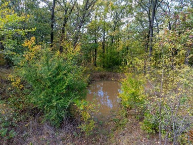 Introducing the Deer Creek Legacy Farm, a truly extraordinary 1 - photo 43