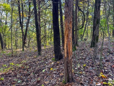 Introducing the Deer Creek Legacy Farm, a truly extraordinary 1 - photo 44
