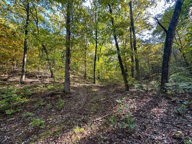 Introducing the Deer Creek Legacy Farm, a truly extraordinary 1 - photo 46