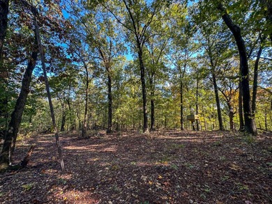 Introducing the Deer Creek Legacy Farm, a truly extraordinary 1 - photo 47