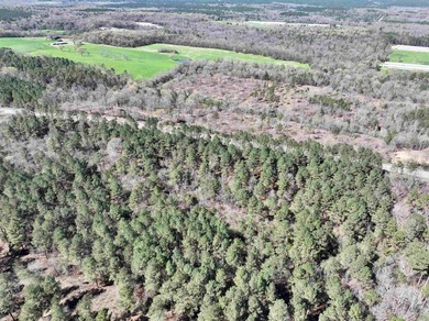 13.02+/- acres located off Highway 70 near Kirby, AR, outside - photo 4