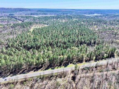 13.02+/- acres located off Highway 70 near Kirby, AR, outside - photo 6