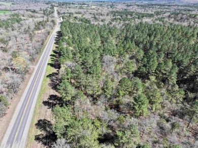 13.02+/- acres located off Highway 70 near Kirby, AR, outside - photo 8