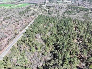 13.02+/- acres located off Highway 70 near Kirby, AR, outside - photo 9