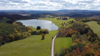 (private lake, pond, creek) Home For Sale in Wyalusing Pennsylvania