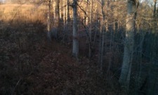Premier Building Lot Overlooking Beautiful Dale Ho - photo 10