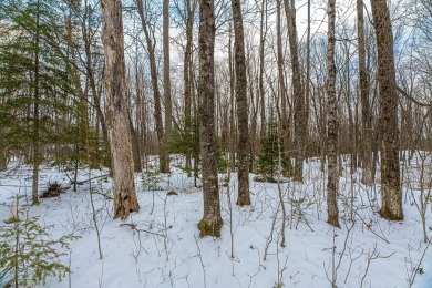 Lake Lot For Sale in Rhinelander, Wisconsin