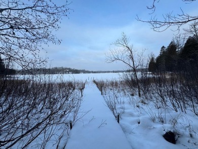 Lake Lot For Sale in Mercer, Wisconsin