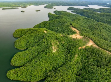 Lake Acreage For Sale in Celina, Tennessee