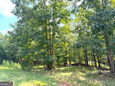 Lake Russell Acreage For Sale in Elberton Georgia