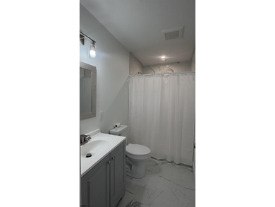 Completely renovated and move-in ready! This beautifully updated - photo 10