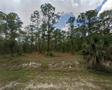 Lehigh Acres Area Lot For Sale in Lehigh Acres Florida