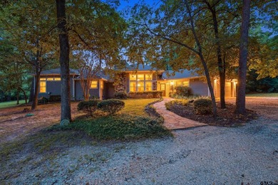 Welcome to 565 W. Eldorado Dr. in beautiful Scroggins, Texas! - photo 1