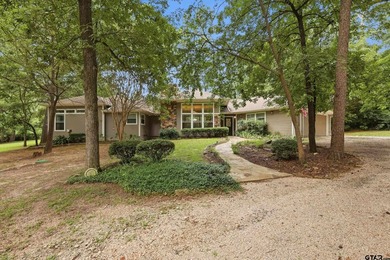 Welcome to 565 W. Eldorado Dr. in beautiful Scroggins, Texas! - photo 2
