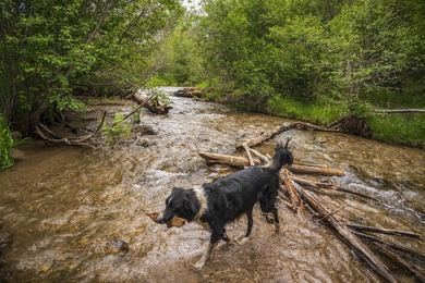 (private lake, pond, creek) Acreage For Sale in Valdez New Mexico
