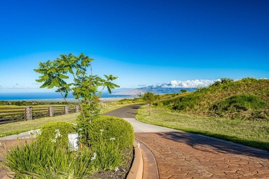 Discover one of Upcountry Maui's most exceptional opportunities - photo 2