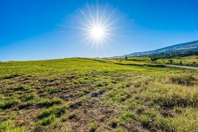 Discover one of Upcountry Maui's most exceptional opportunities - photo 3