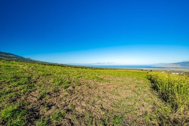 Discover one of Upcountry Maui's most exceptional opportunities - photo 6
