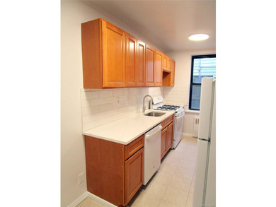 Rare Sponsor One Bedroom Apartment in the Woodlawn Heights - photo 8