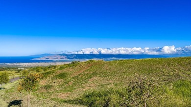 Discover one of Upcountry Maui's most exceptional opportunities - photo 9