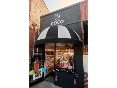 Lake Blue Ridge Commercial Active Under Contract in Blue Ridge Georgia