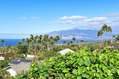 Nestled in the sought-after community of Maui Meadows, this - photo 8
